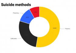 US suicides by method 2020  JPP Meme Template