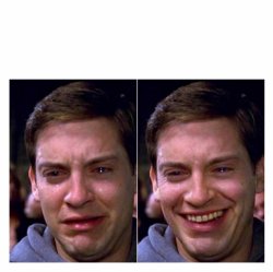 Cryring Peter Parker Meme Template