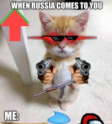 A CAT Meme Template