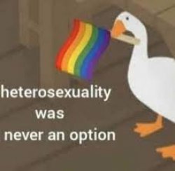 heterosexuality was never an option Meme Template