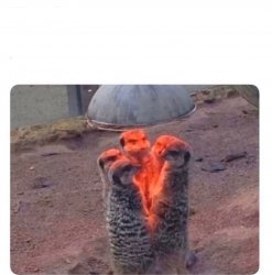 me and the voices Meme Template