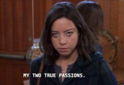 APRIL LUNDGATE MY TWO PASSIONS Meme Template