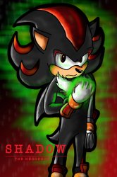 +Shadow the hedgehog+ Meme Template