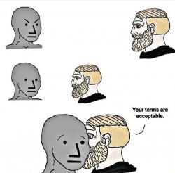 Your terms are acceptable Meme Template