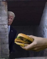 Hamberder Donnie Meme Template