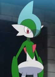 Gallade stare Meme Template