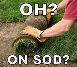 on sod? Meme Template