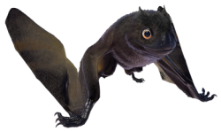 Jeholopterus (JWE Design) Meme Template