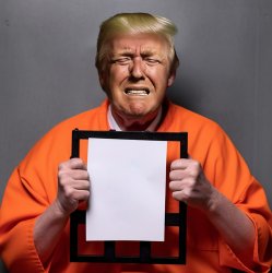 Donald Trump Criminal Meme Template