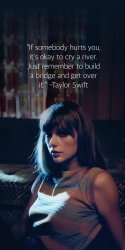 Taylor Swift quote Meme Template