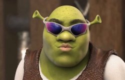 cool shrel Meme Template