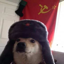 communism dog Meme Template