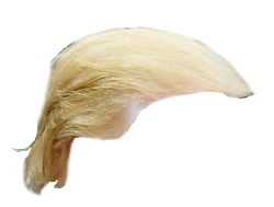 Trump Hair Meme Template