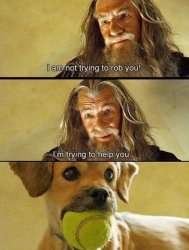 Gandalf Dog Meme Template