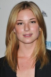 Emily Vancamp Meme Template