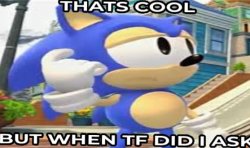 when tf did i ask sonic Meme Template