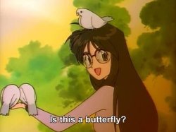 Is this a butterfly? Meme Template