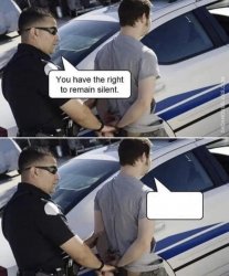 You have the right to remain silent Meme Template