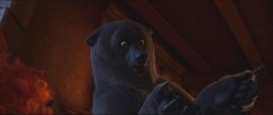 Bear Elinor Meme Template