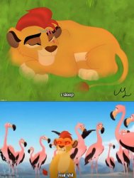 Sleeping Kion Meme Template