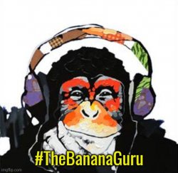 This monkey is philosopher and sex guru Meme Template