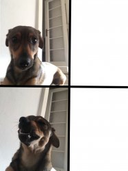 Drake yes / no but its my dog Meme Template