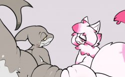 Shark and cat Meme Template