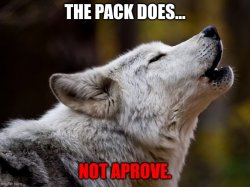 The Pack Does Not Approve. Meme Template