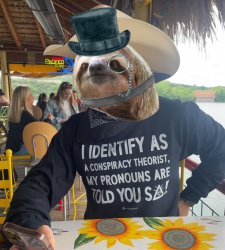 Sloth I identify as a conspiracy theorist Meme Template