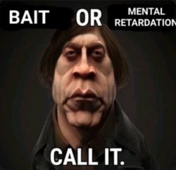 bait or mental retardation Meme Template