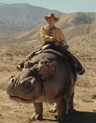 Man riding a hippopotamus Meme Template