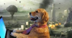 Dog on computer while world is being destroyed Meme Template