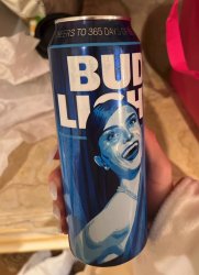 Budlite2024 Meme Template