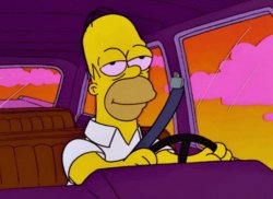 Homer Simpson Driving High Meme Template