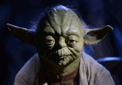 Yoda front Meme Template