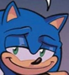 sonic smirk Meme Template