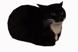 maxwell Meme Template
