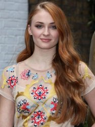 Sophie Turner Meme Template
