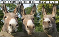 What are the 3 (three) donkeys' views on X Meme Template