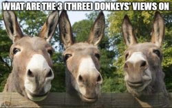 Meme: BURRO ! - All Templates 