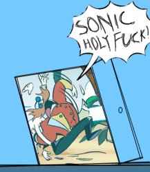 sonic holy fuck Meme Template