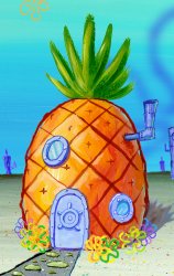 SpongeBob pineapple Meme Template