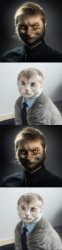 evil cat good cat Meme Template