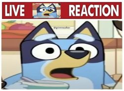 Live Bluey Reaction Meme Template