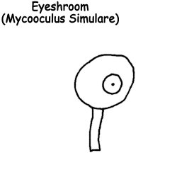 Eyeshroom Meme Template