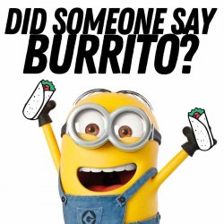 DID YOU SAY BURRITO Meme Template