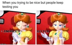 daisy annoyed Meme Template