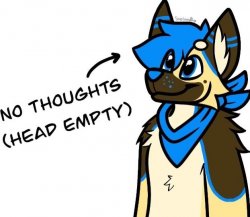 No thoughts head empty Meme Template