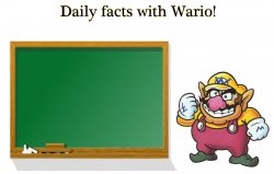Wario tells you daily facts. Meme Template