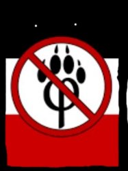 anti furry elite tangle Meme Template